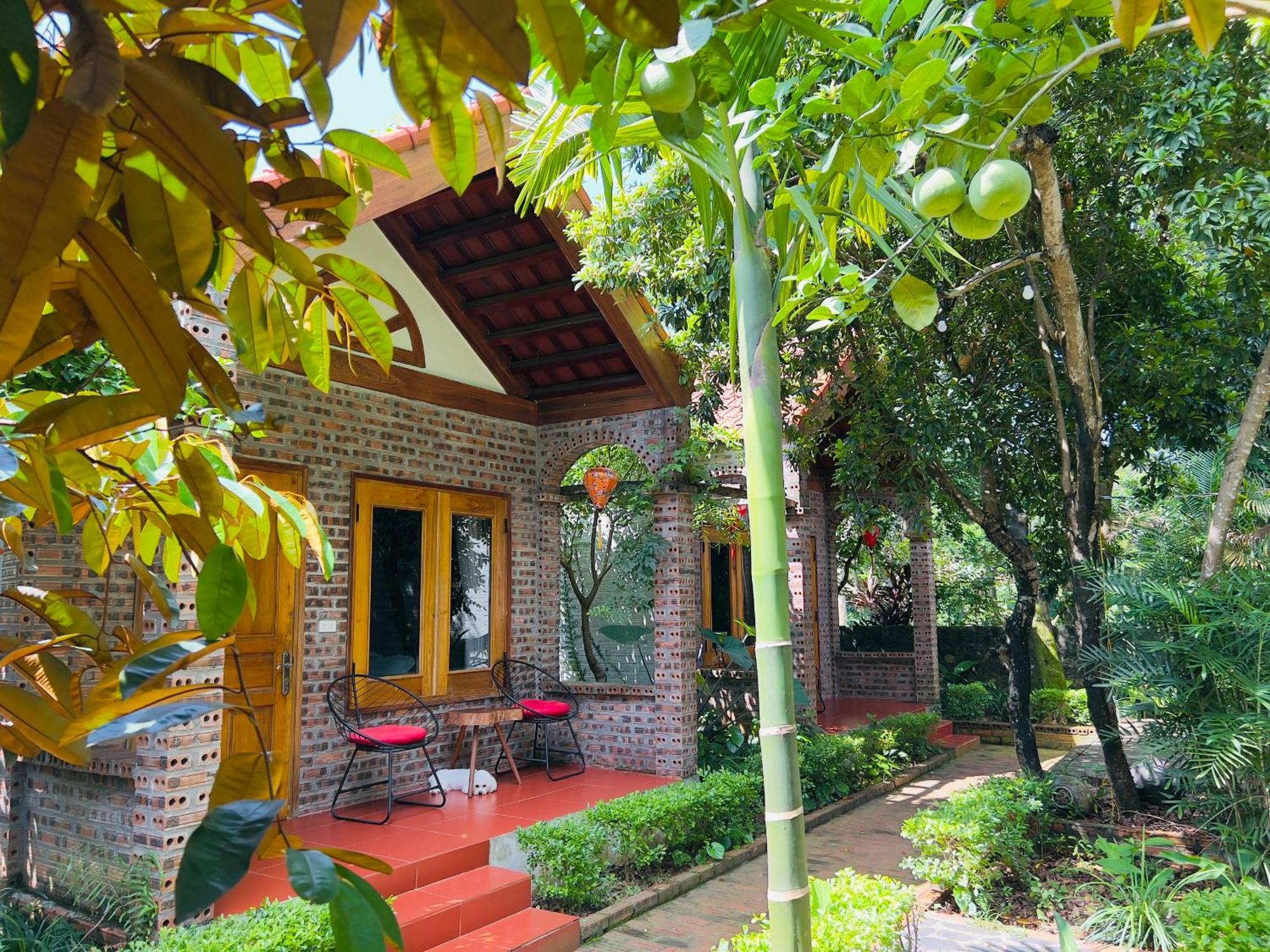 Ninh Binh Family Homestay Exteriör bild